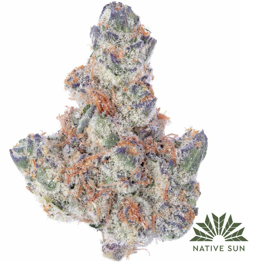 Gloucester Medical & Recreational Marijuana Dispensary