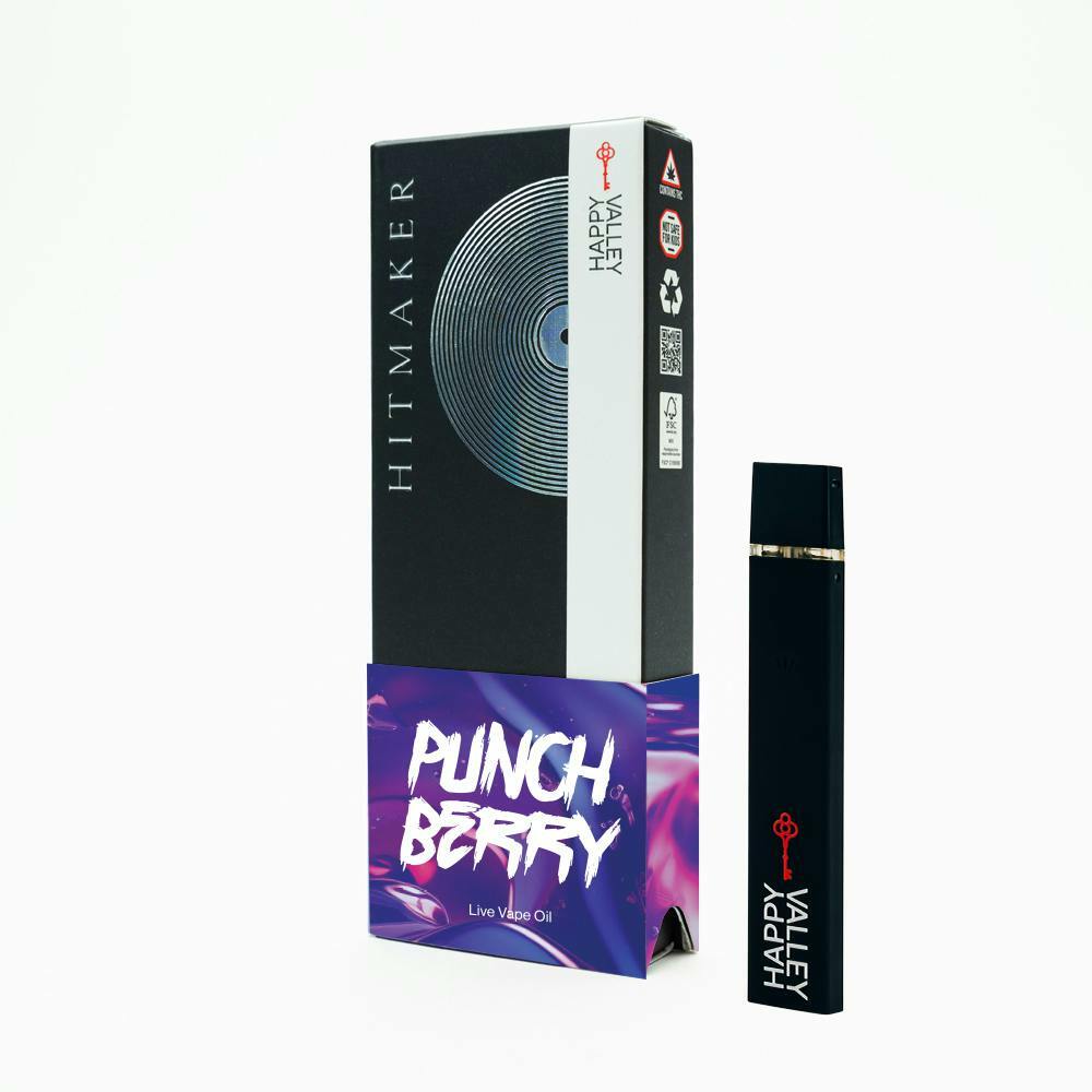 Hitmaker Disposable Vape 1g - Punchberry | Gloucester, MA